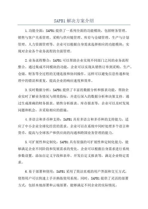 SAPB1解决方案介绍