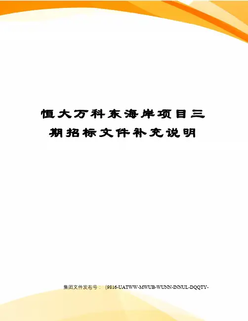恒大万科东海岸项目三期招标文件补充说明