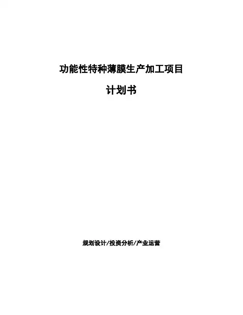 功能性特种薄膜生产加工项目计划书