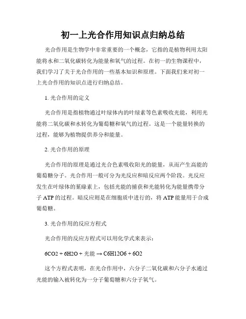 初一上光合作用知识点归纳总结