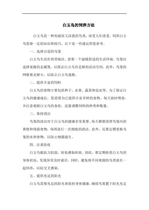 白玉鸟的饲养方法