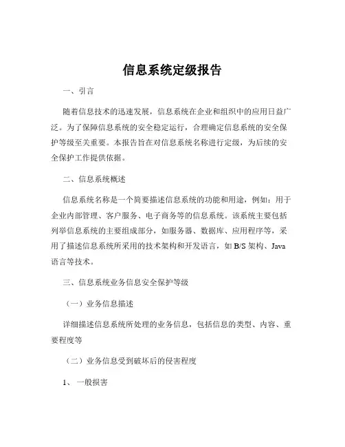 信息系统定级报告