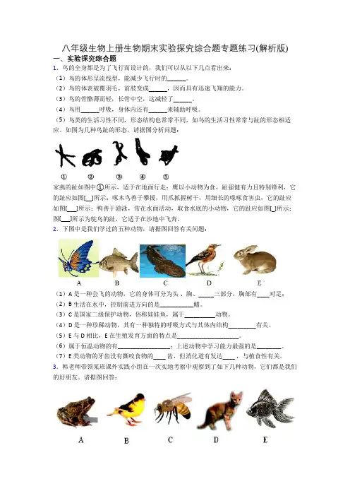 八年级生物上册生物期末实验探究综合题专题练习(解析版)[013]