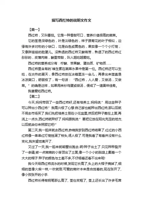 描写西红柿的说明文作文