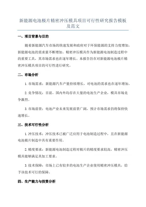 新能源电池极片精密冲压模具项目可行性研究报告模板及范文