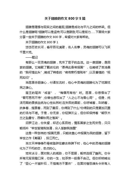 关于翅膀的作文800字5篇