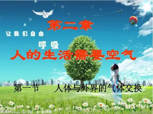190317人体内的气体交换