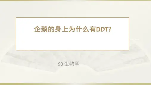 企鹅的身上为什么有DDT
