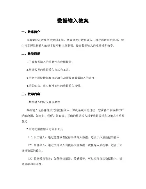 数据输入教案