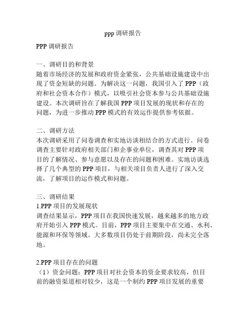 ppp调研报告