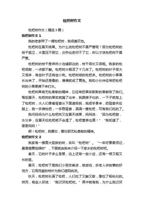 枇杷树作文（精选3篇）