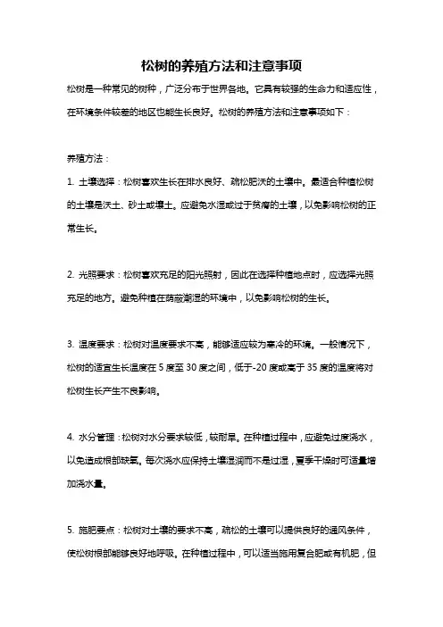 松树的养殖方法和注意事项