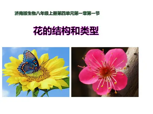 第一节花的结构和类型济南版生物八年级上册