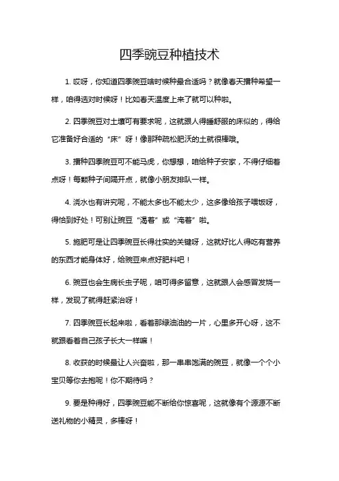 四季豌豆种植技术