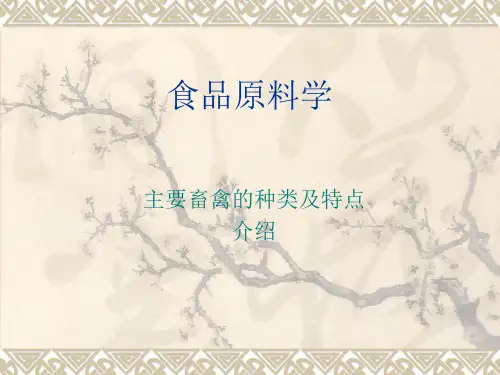 畜禽品种及特点