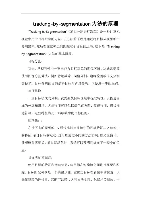 tracking-by-segmentation方法的原理