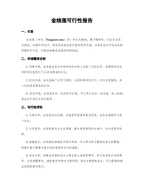 金线莲可行性报告