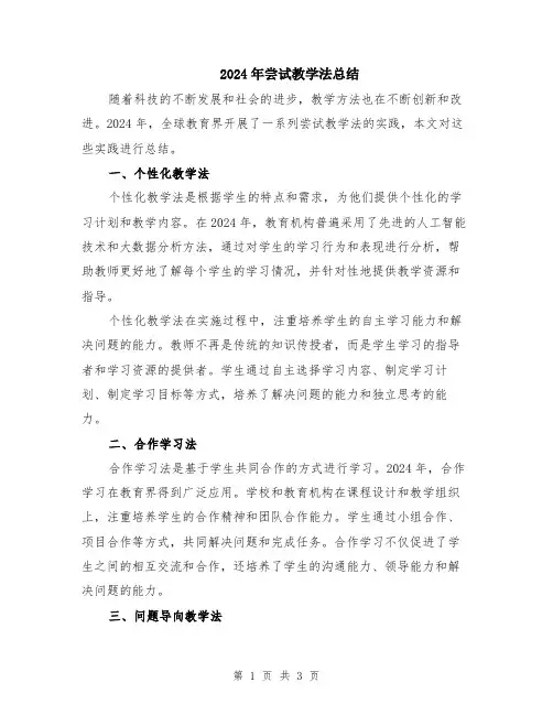 2024年尝试教学法总结