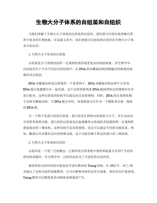 生物大分子体系的自组装和自组织
