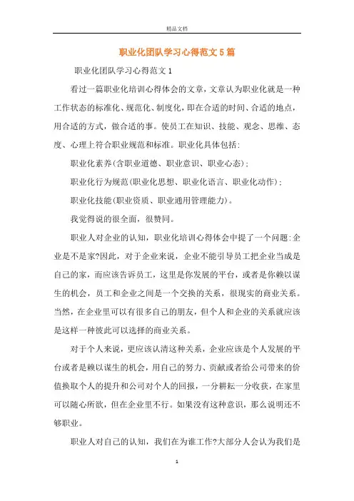职业化团队学习心得范文5篇
