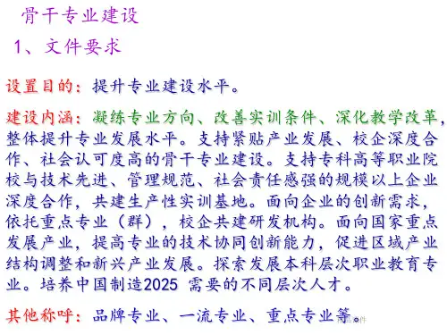 骨干专业建设ppt课件