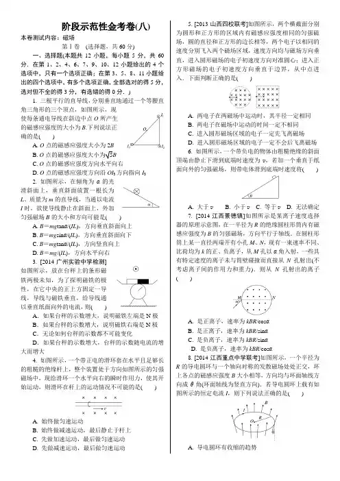 《金版教程》高考物理大一轮总复习配套阶段示范性金考卷磁场(含解析)
