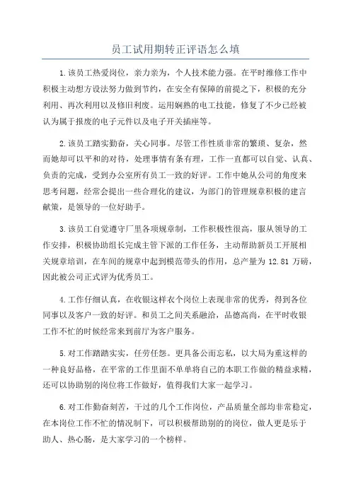 员工试用期转正评语怎么填