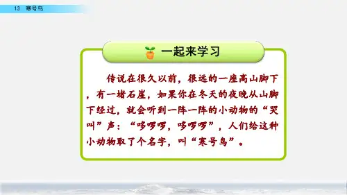 23年部编二年级上册语文13寒号鸟(完美版)PPT课件