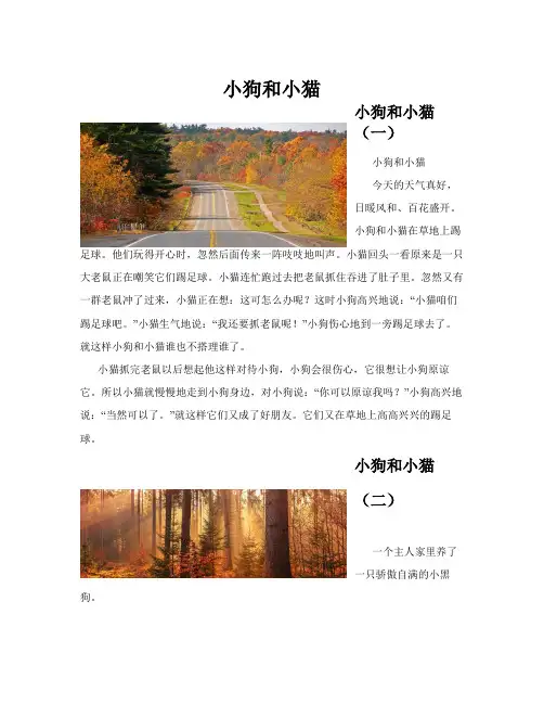 小狗和小猫(共10篇)