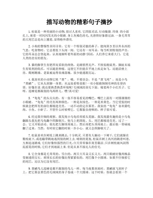描写动物的精彩句子摘抄