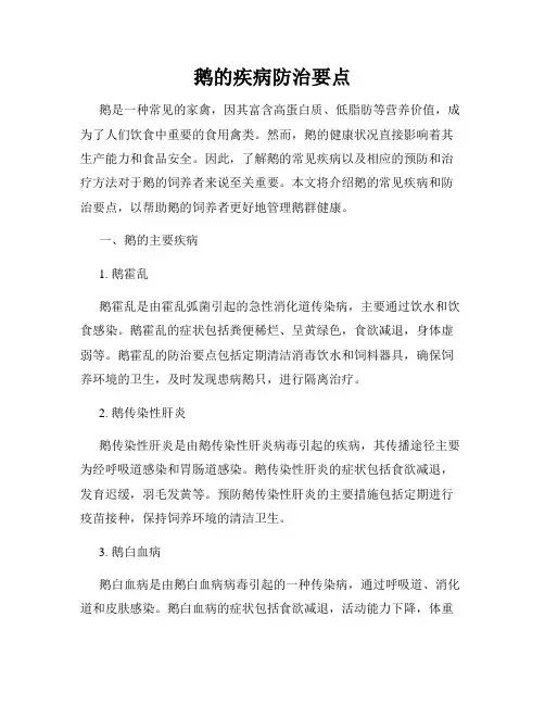 鹅的疾病防治要点