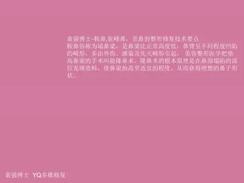 鞍鼻,驼峰鼻,歪鼻的整形修复技术要点ppt课件