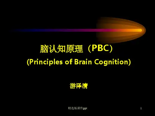 脑认知原理——脑与认知-思维