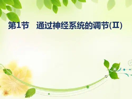 2020版高中生物必修3学案导学精品课件第2章2.1通过神经系统的调节(Ⅱ)1