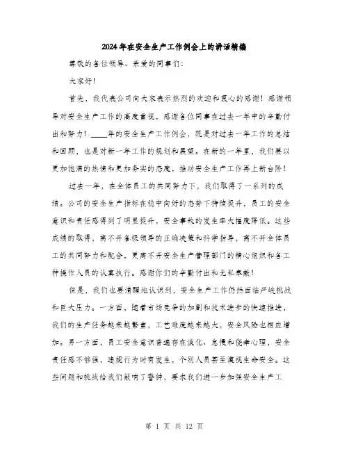 2024年在安全生产工作例会上的讲话精编(5篇)