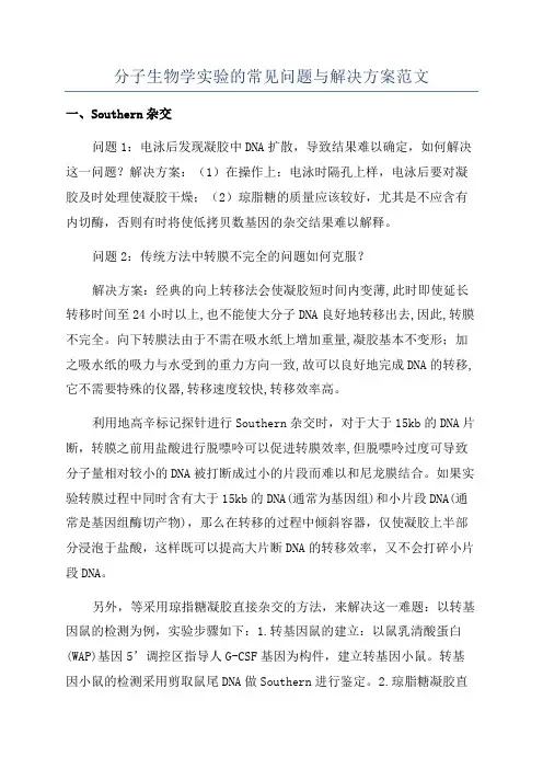分子生物学实验的常见问题与解决方案范文