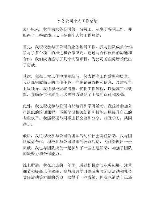 水务公司个人工作总结