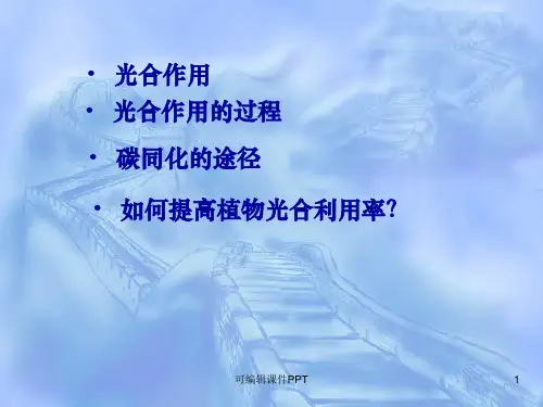 植物的呼吸作用ppt课件