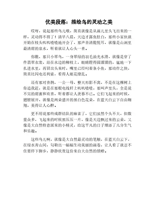 写鸟的优美段落