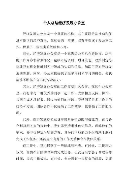 个人总结经济发展办公室