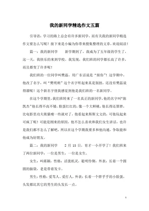 我的新同学精选作文五篇