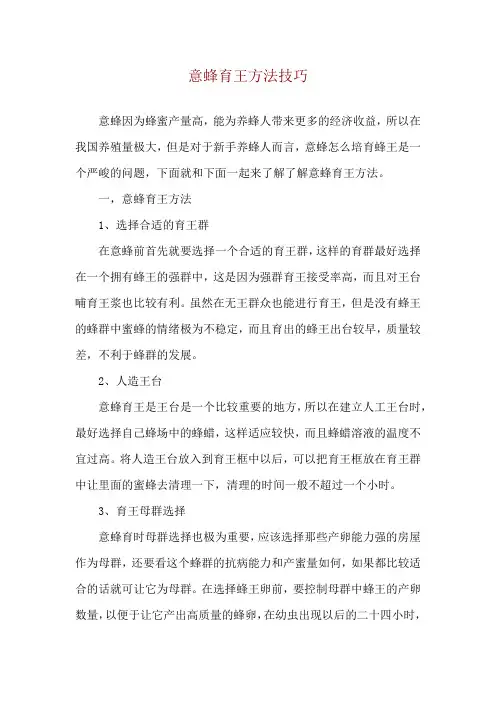意蜂育王方法技巧