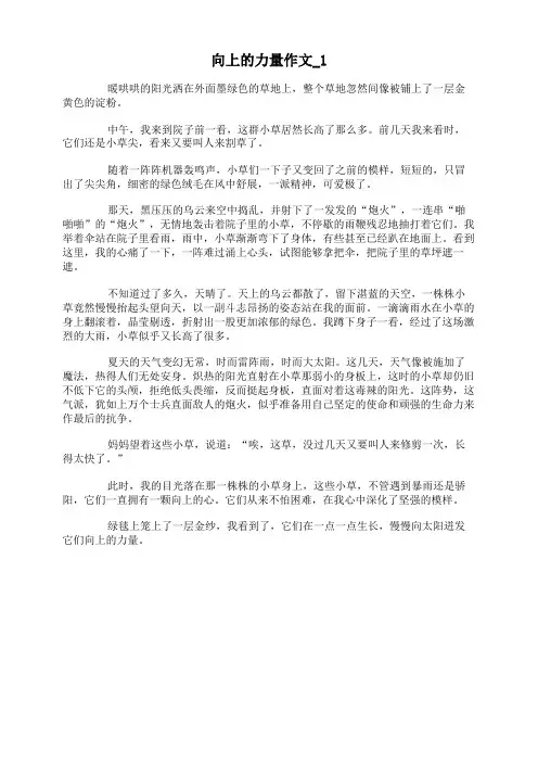 向上的力量作文