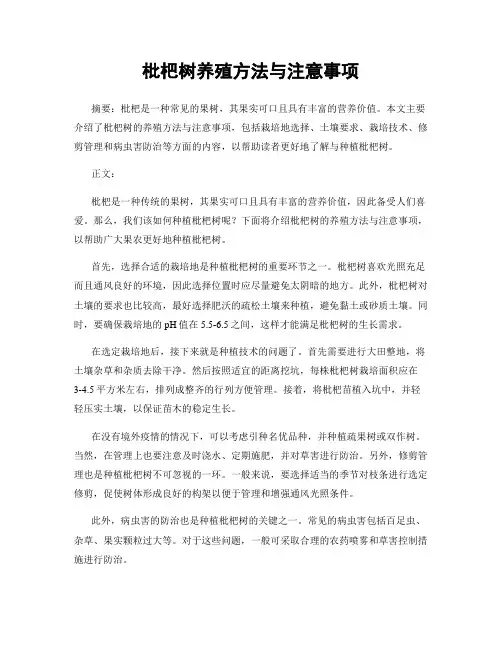 枇杷树养殖方法与注意事项