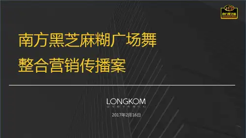  2017-南方黑芝麻糊广场舞整合营销传播案