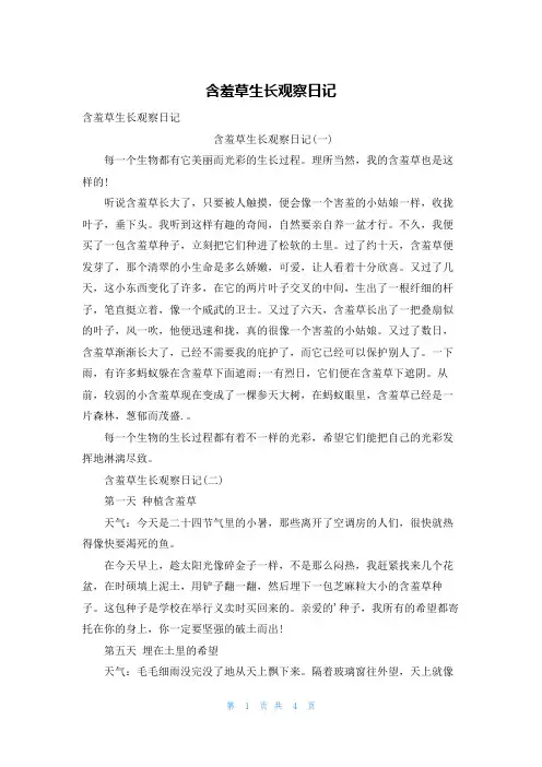 含羞草生长观察日记
