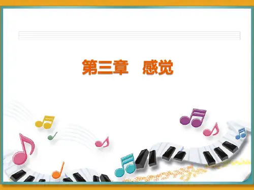 特殊教育《感觉》课件