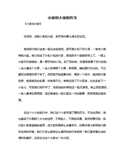 小家和大家的作文