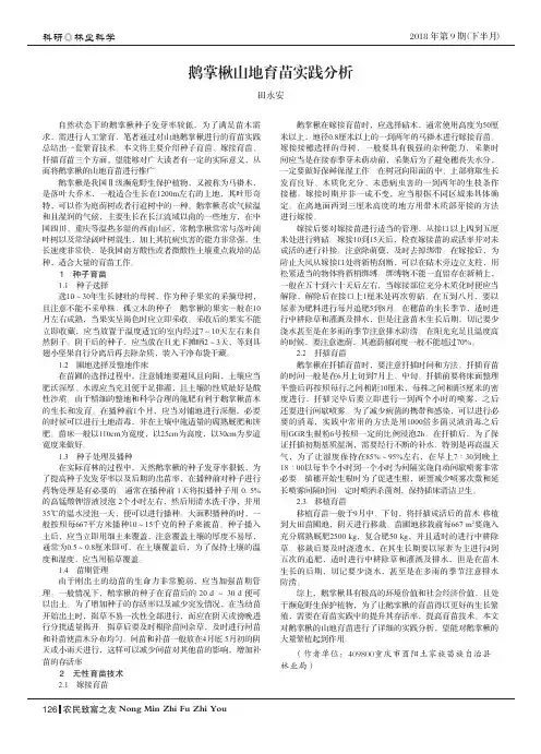 鹅掌楸山地育苗实践分析