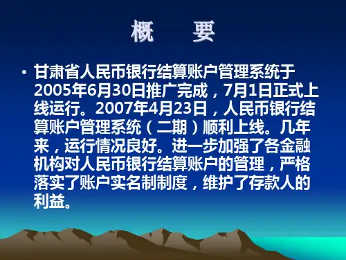 版人民币银行结算账户管理系统业务培训讲义课件